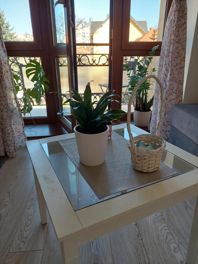 Emily Apartment โกชิเซ ภายนอก รูปภาพ