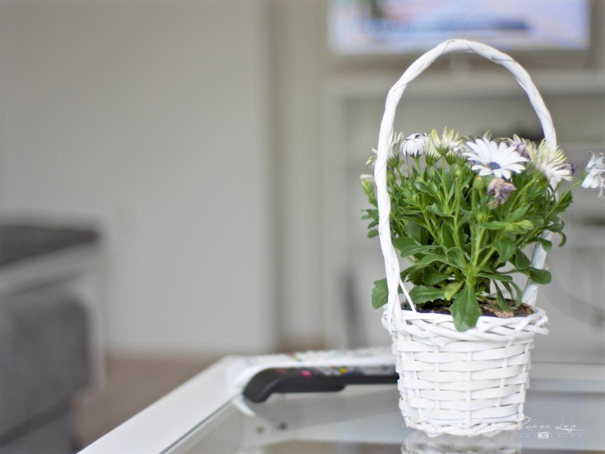 Emily Apartment โกชิเซ ภายนอก รูปภาพ