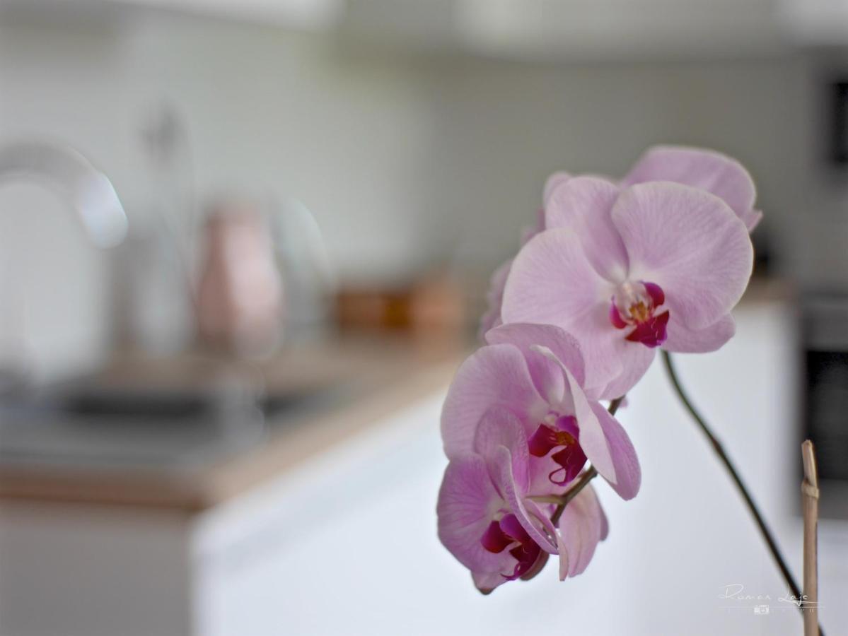 Emily Apartment โกชิเซ ภายนอก รูปภาพ